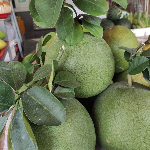 Bưởi da xanh ruột đỏ